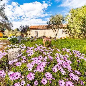 Hébergement de vacances Casa Lilliosa 
